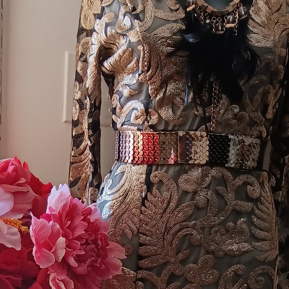 Black & Gold sheer Dress